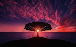 VÍDEO SESIÓN ENTRE CIELO Y TIERRA